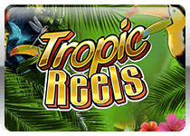 Tropic Reels